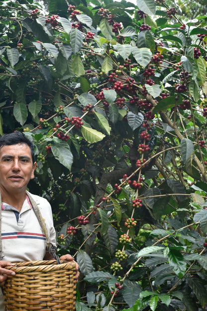 COE Peru #21 La Lima