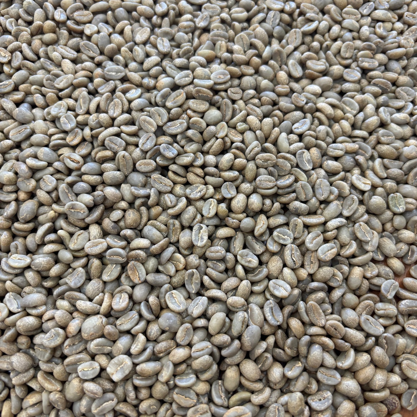 Finca El Chaferote II Pink Bourbon - Bulk Green