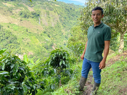 Finca El Chaferote II