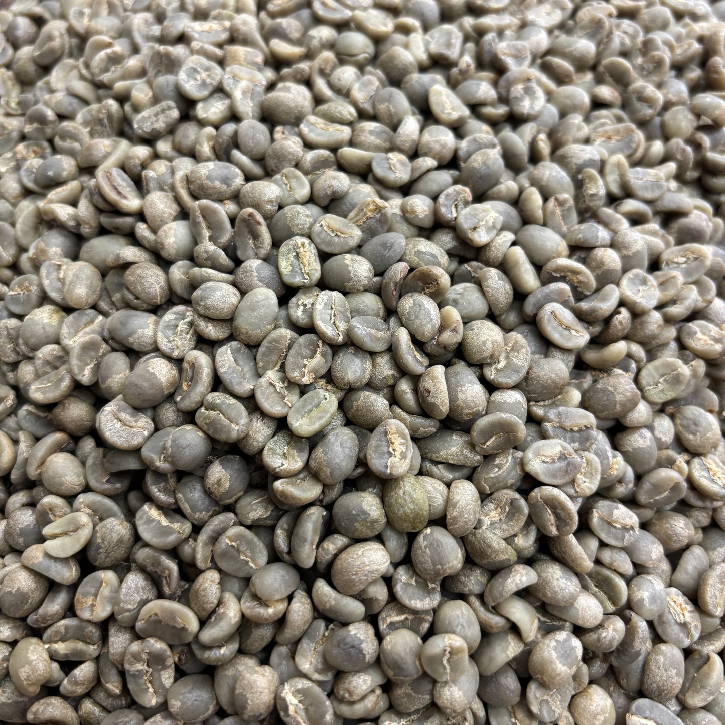 Kaliluni AA - Kenya, washed