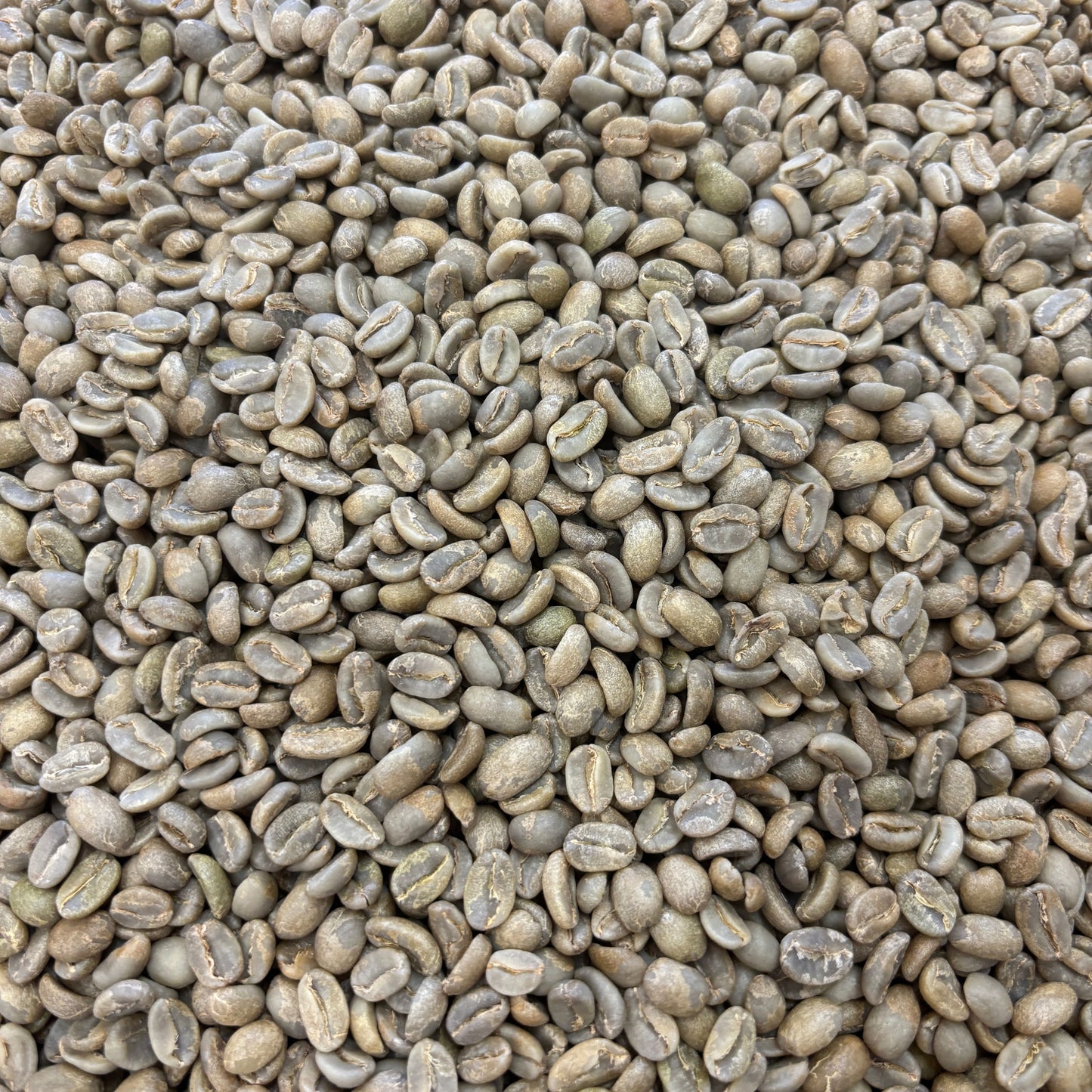 Las Perlitas Chiroso - Bulk Green