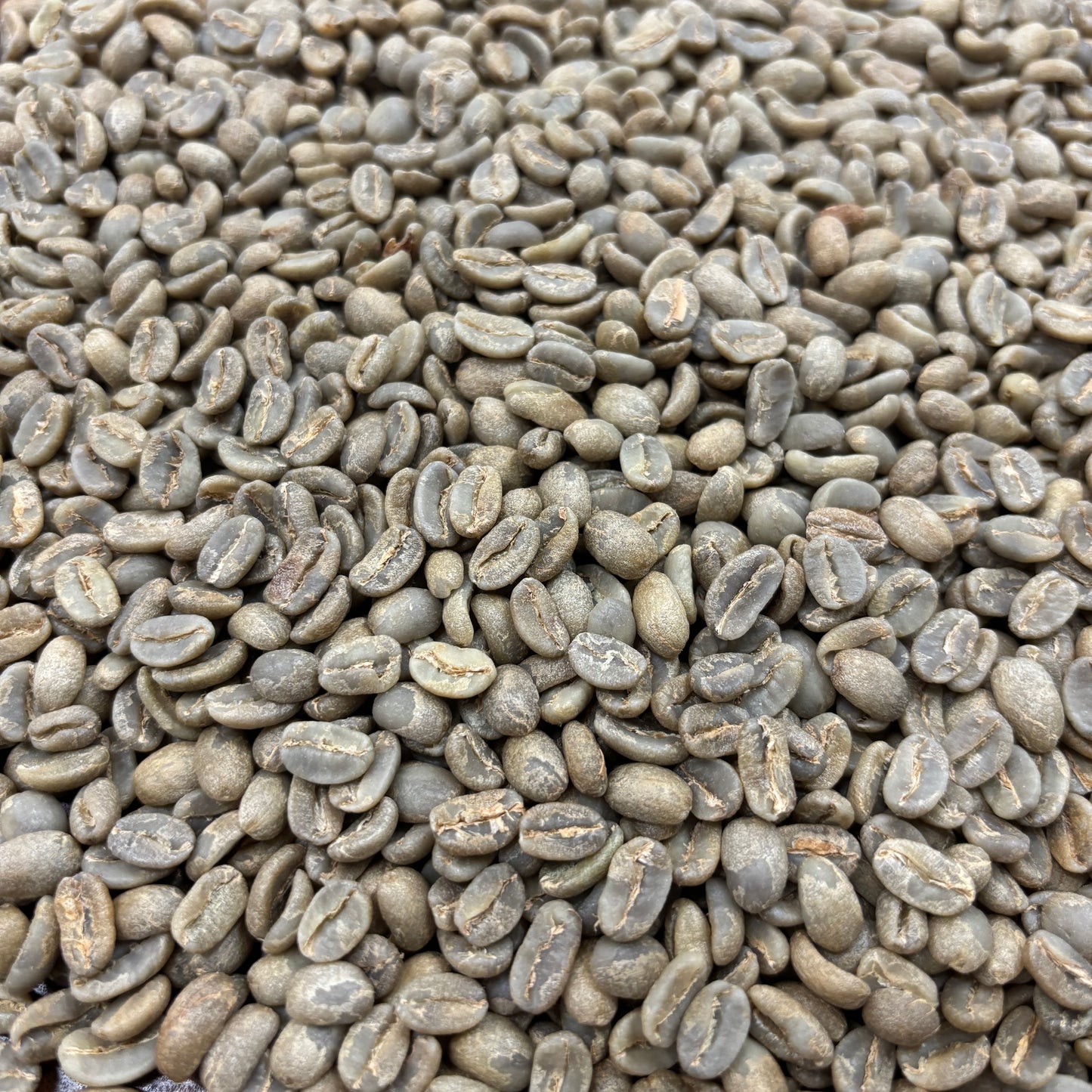 Finca Las Palmas - Colombia, anaerobic washed