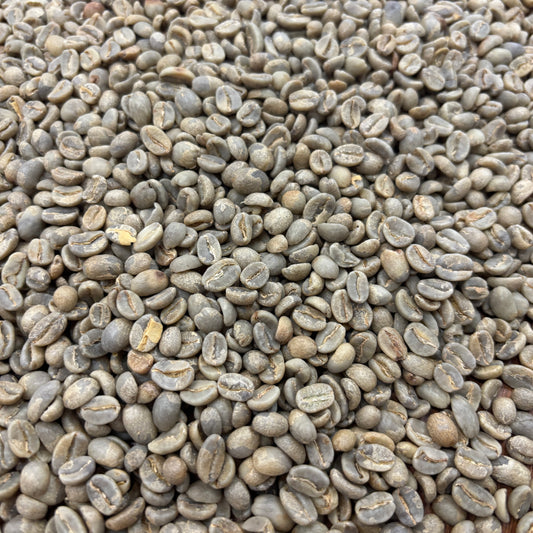 Maribel Hererra - Bulk Green