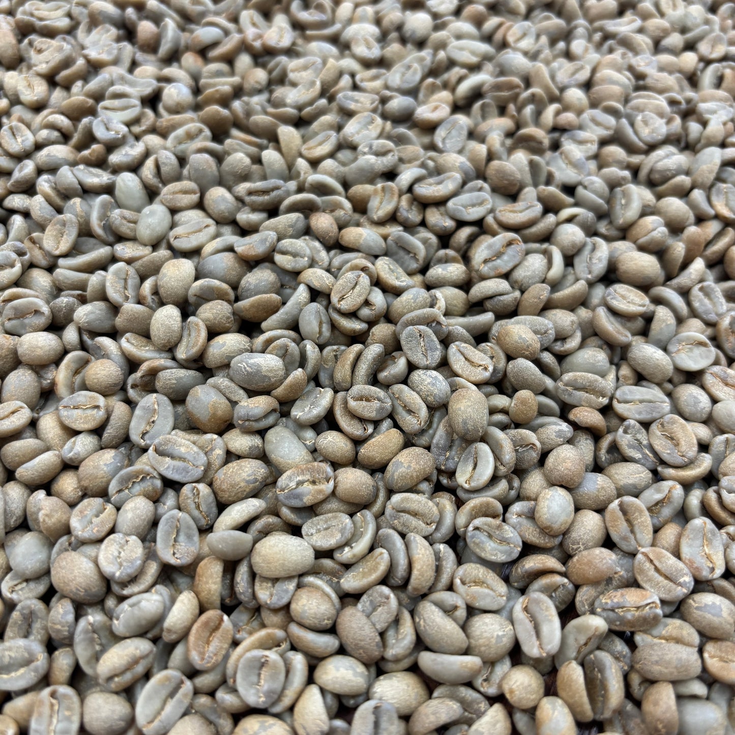 COE Peru #20 La Rinconada - anaerobic washed geisha - Green