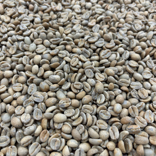 COE Peru #20 La Rinconada - anaerobic washed geisha - Green