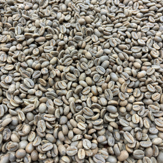 COE Peru #21 La Lima - anaerobic washed geisha - Green