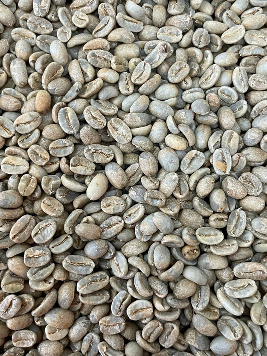 Finca La Pradera Geisha - Bulk Green