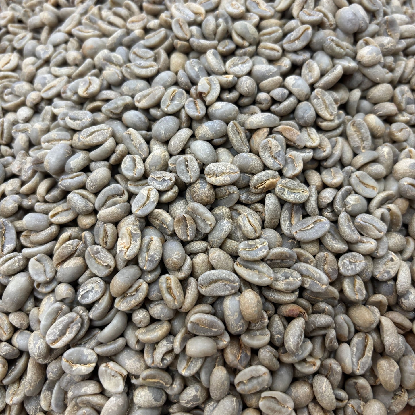 David Armijos - Bulk Green