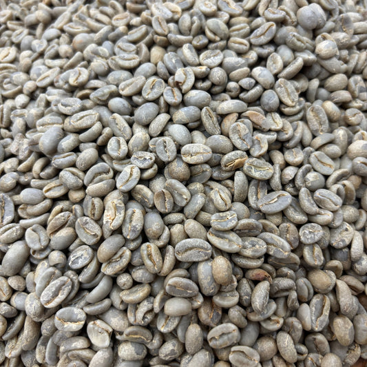 David Armijos - Bulk Green