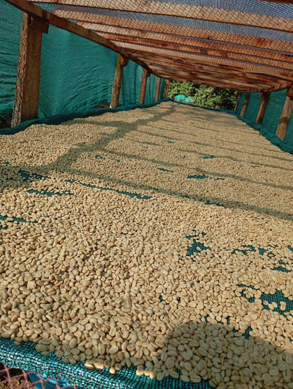 COE Peru #20 La Rinconada