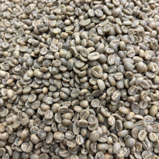 Finca San Antonio Caturra & Colombia - Colombia, anaerobic washed - Green