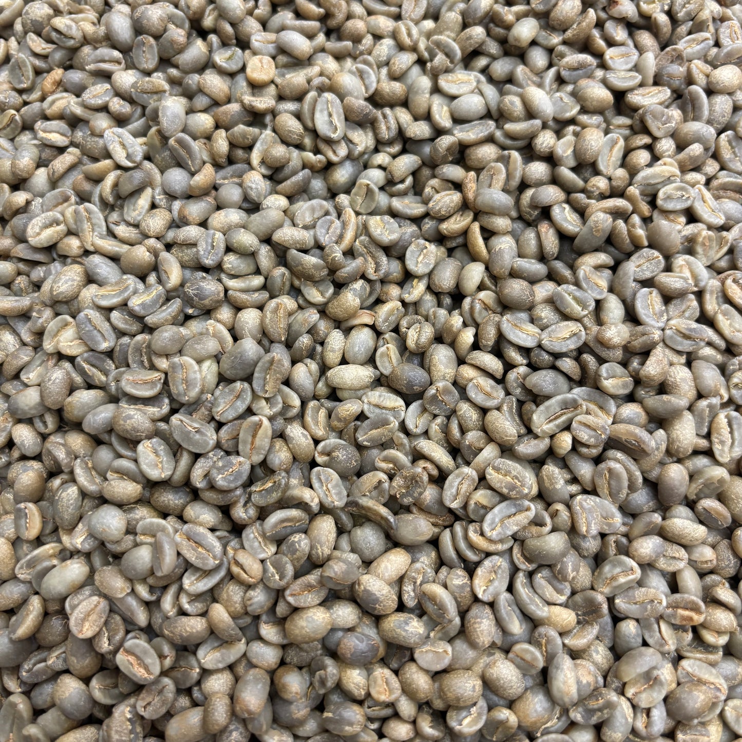 Sidra Prime - Colombia, washed