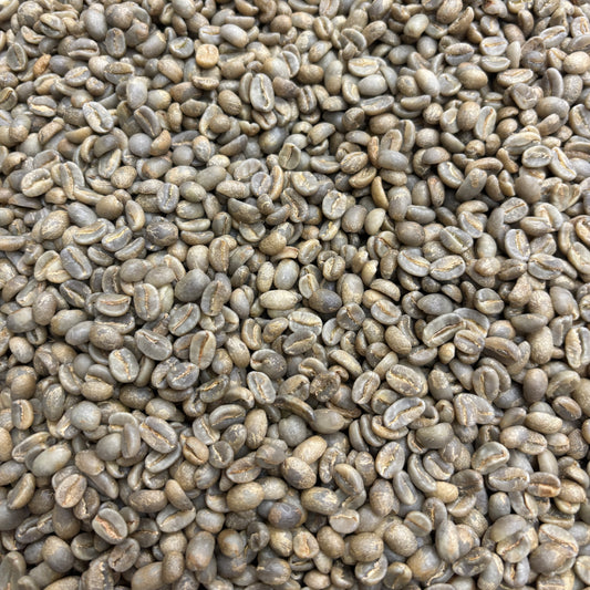 Sidra Prime - Bulk Green