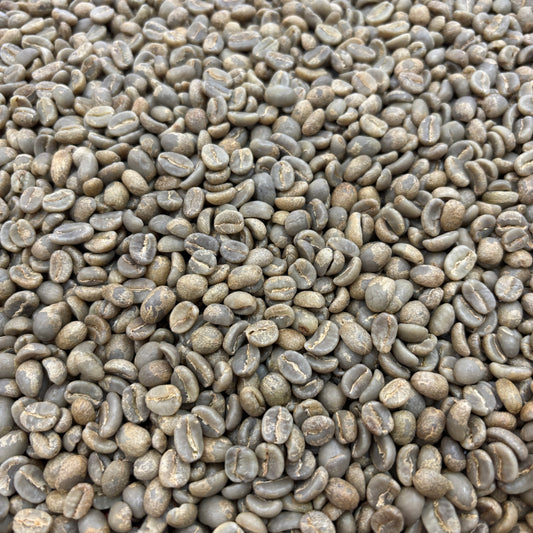 Finca El Tabor - washed caturra/var. colombia - Green